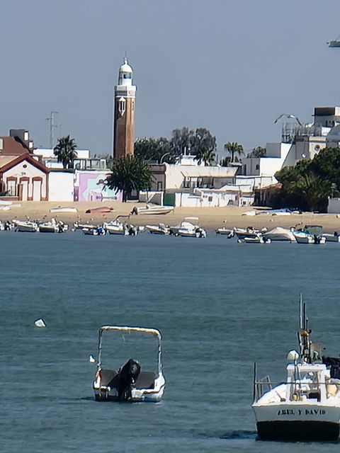 Bonanza view 1