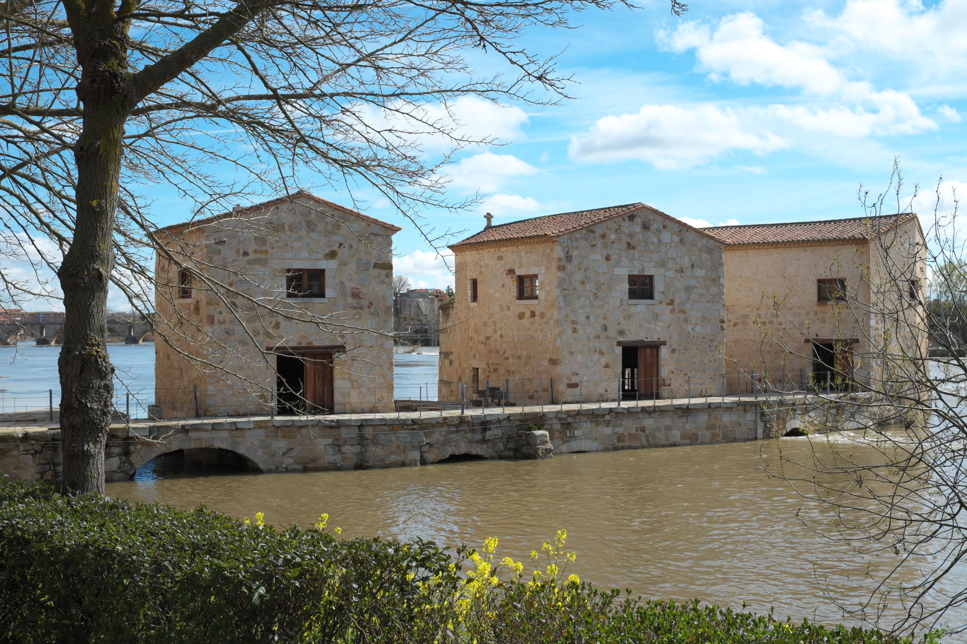 Olivares view 3