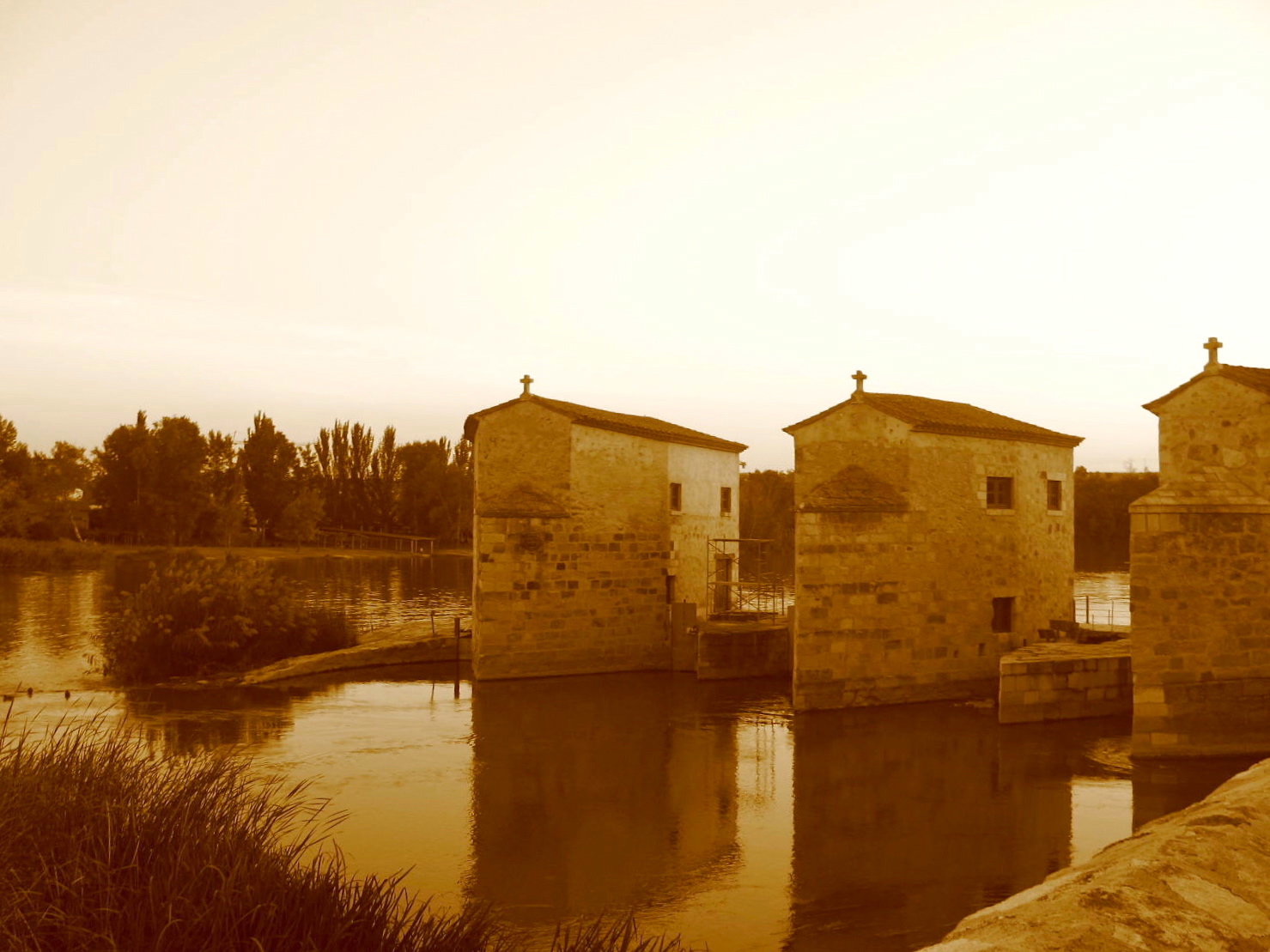 Olivares district