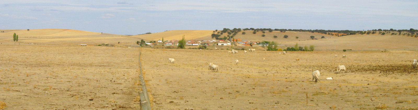 Pueblo Villalba district