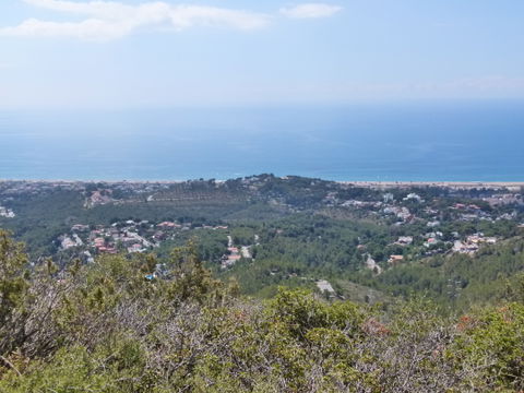 Montmar view 1