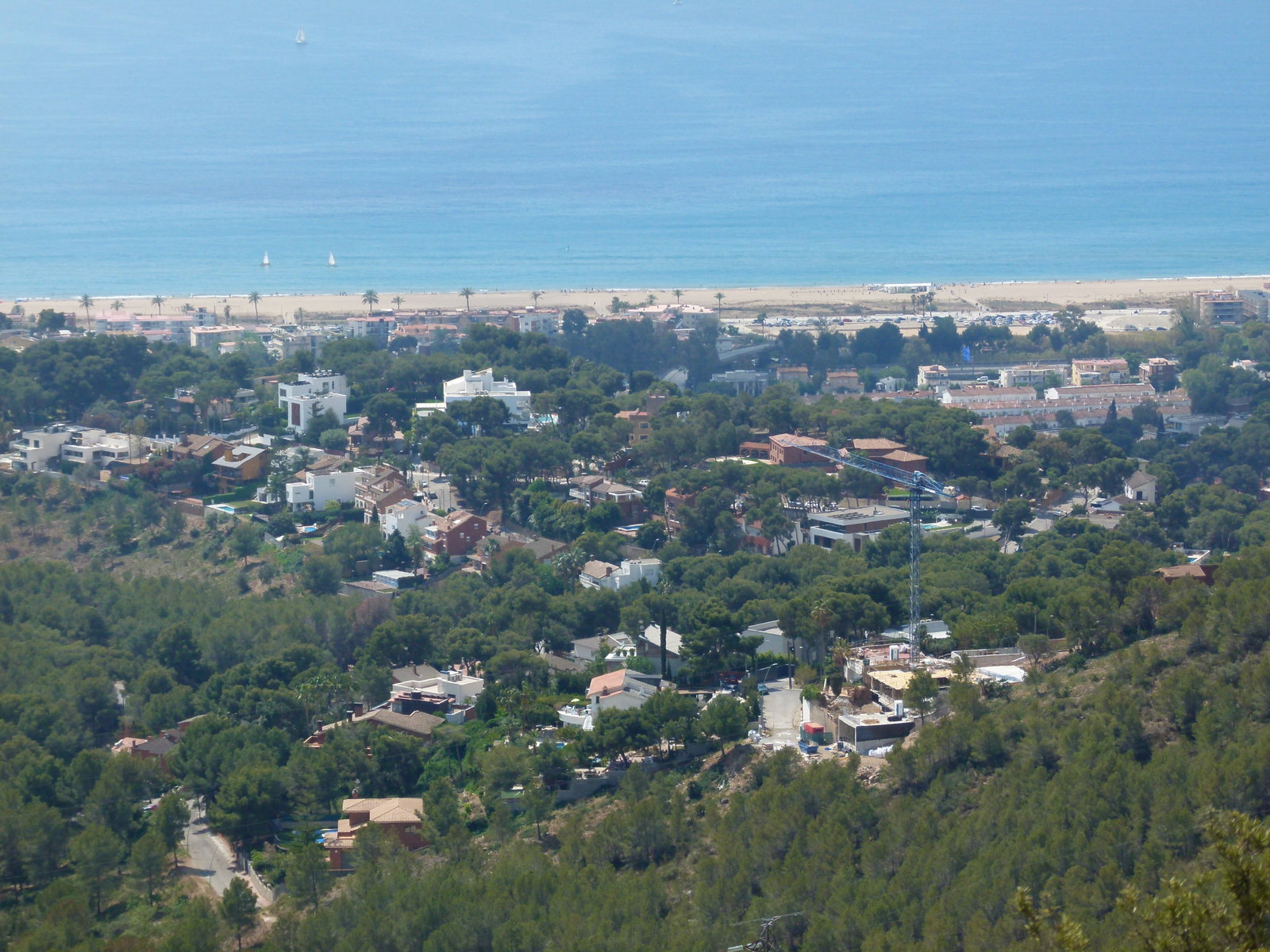 Bellamar district