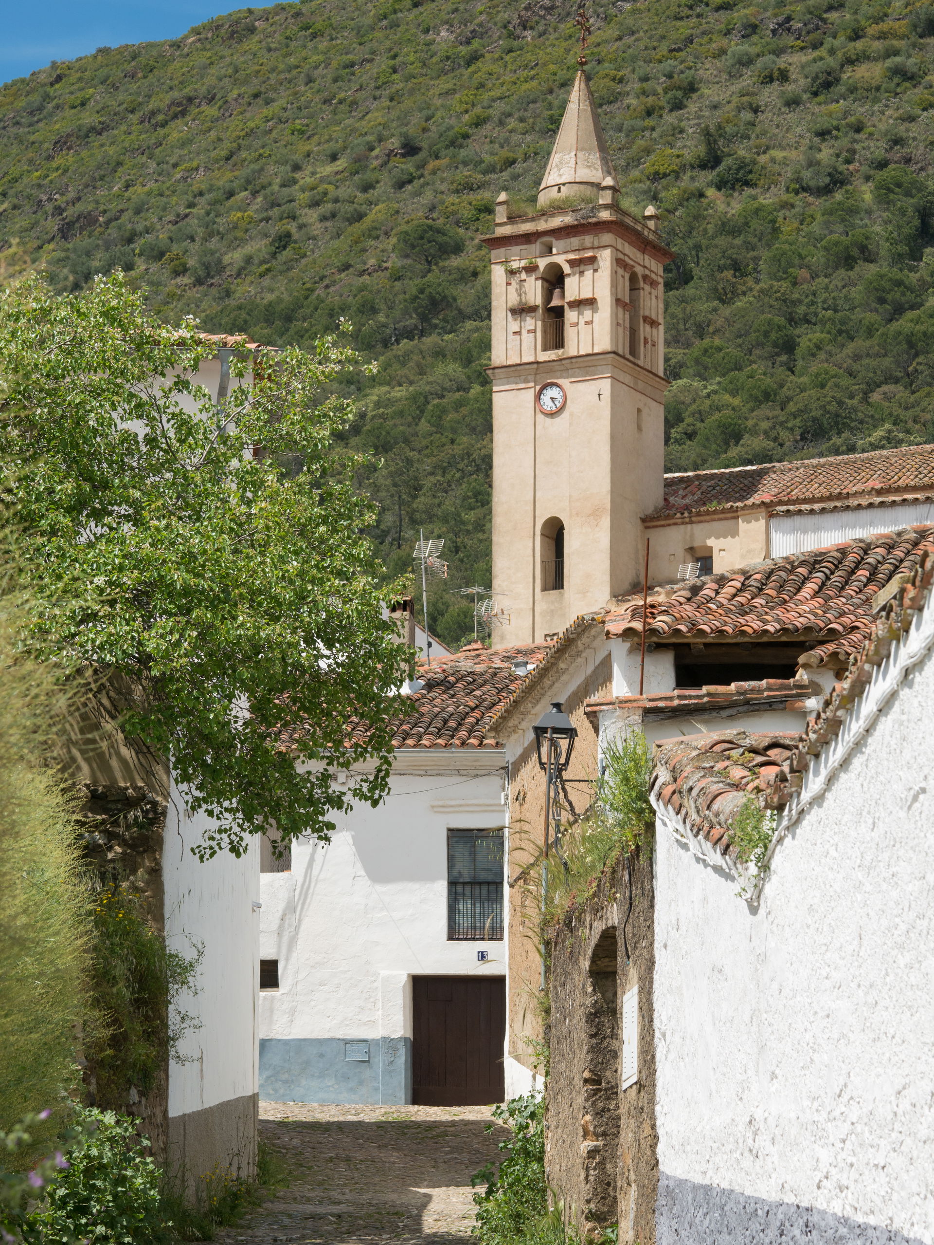 Centro view 1