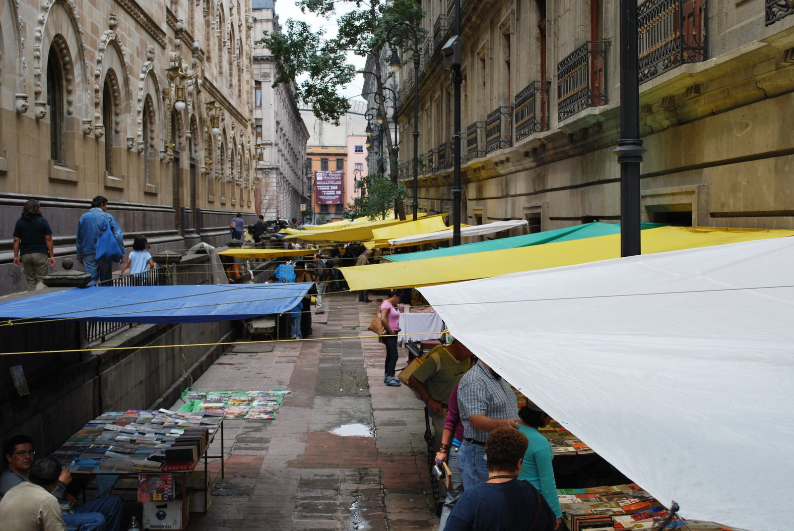 La Condesa district