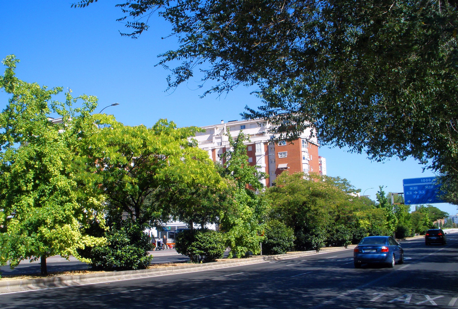 Avenida de Andalucía view 2
