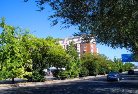 Avenida de Andalucía view 2