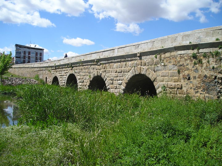 Albarregas district
