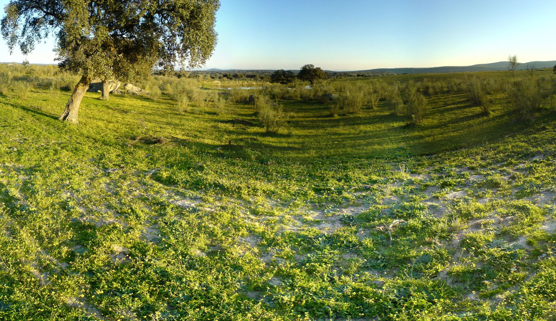Charca view 3