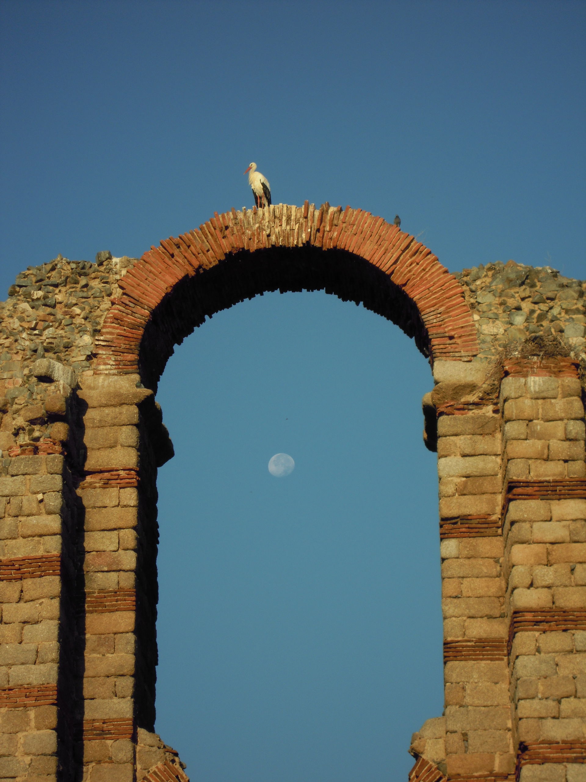 Proserpina view 1