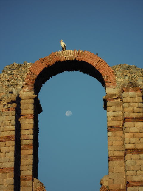 Proserpina view 1