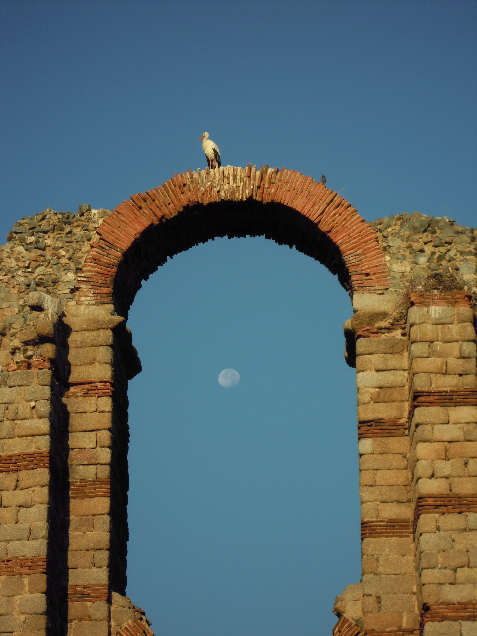 Proserpina district