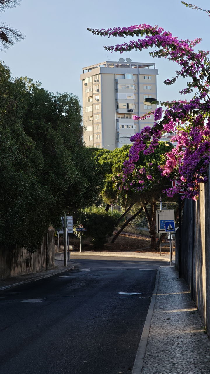 São Domingos de Benfica district