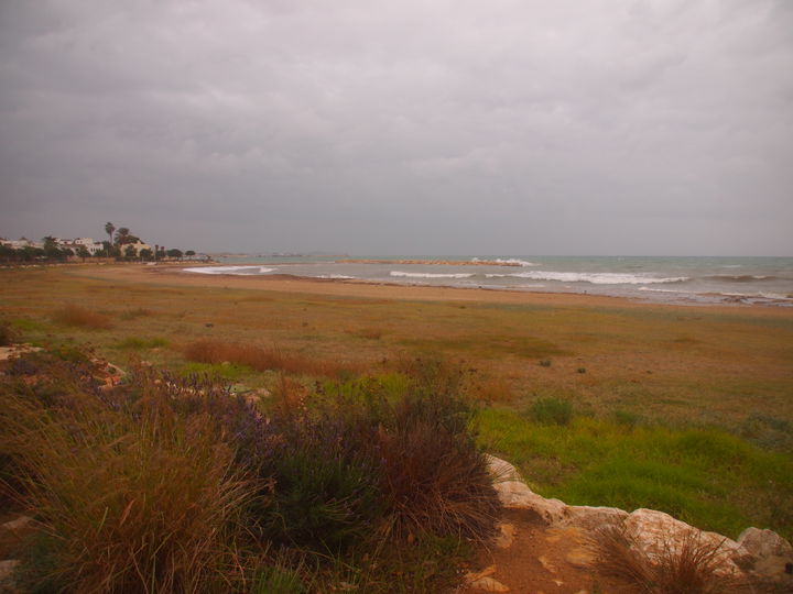 la Llosa district