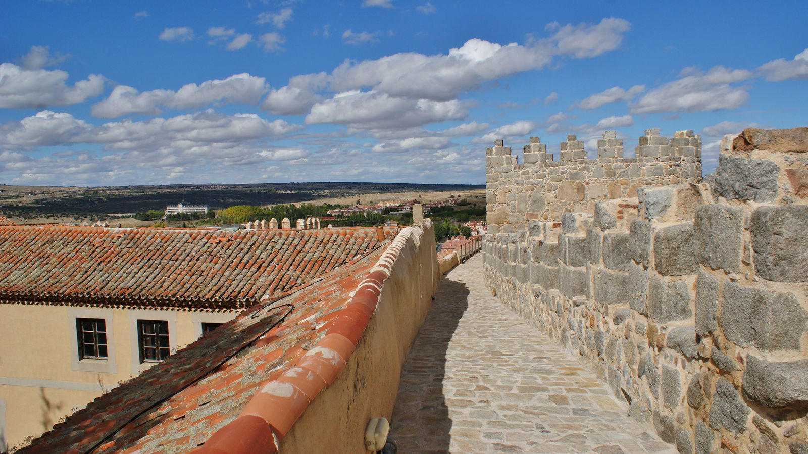 Casco Medieval view 3