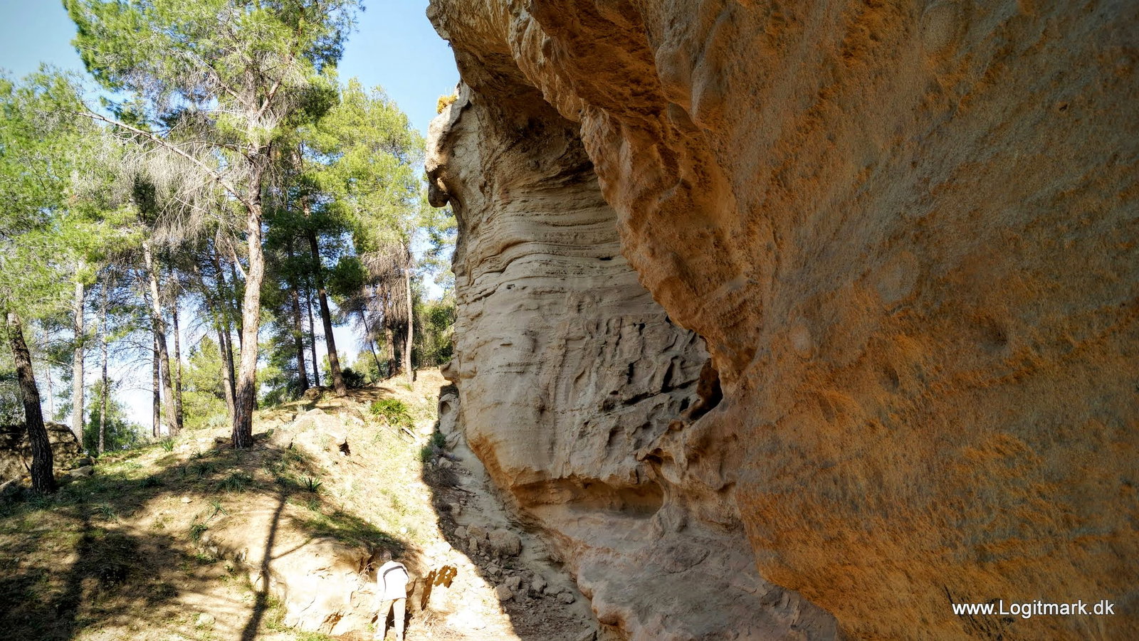 Ardales district