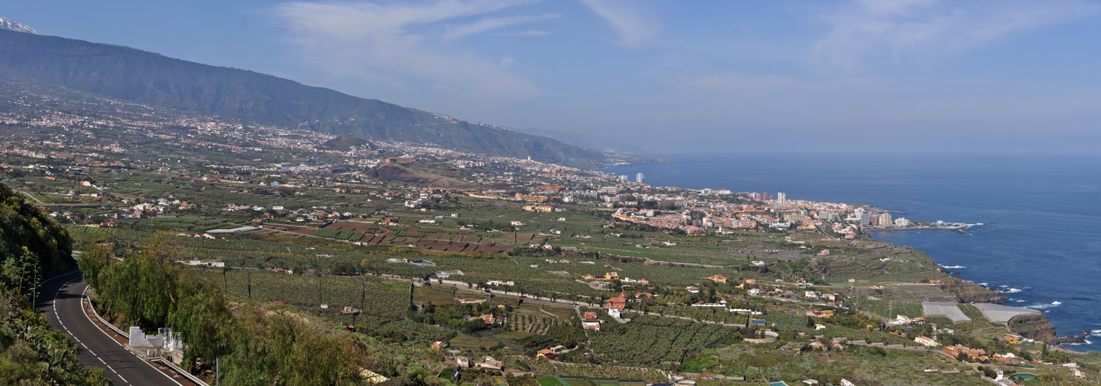 La Orotava district