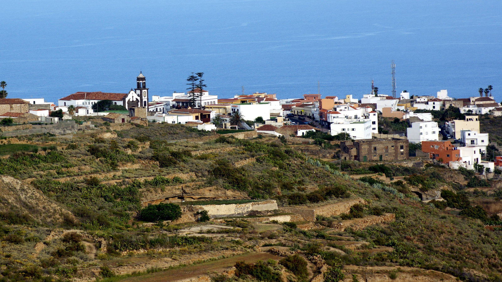 Arico district