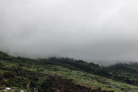 La Victoria de Acentejo view 2