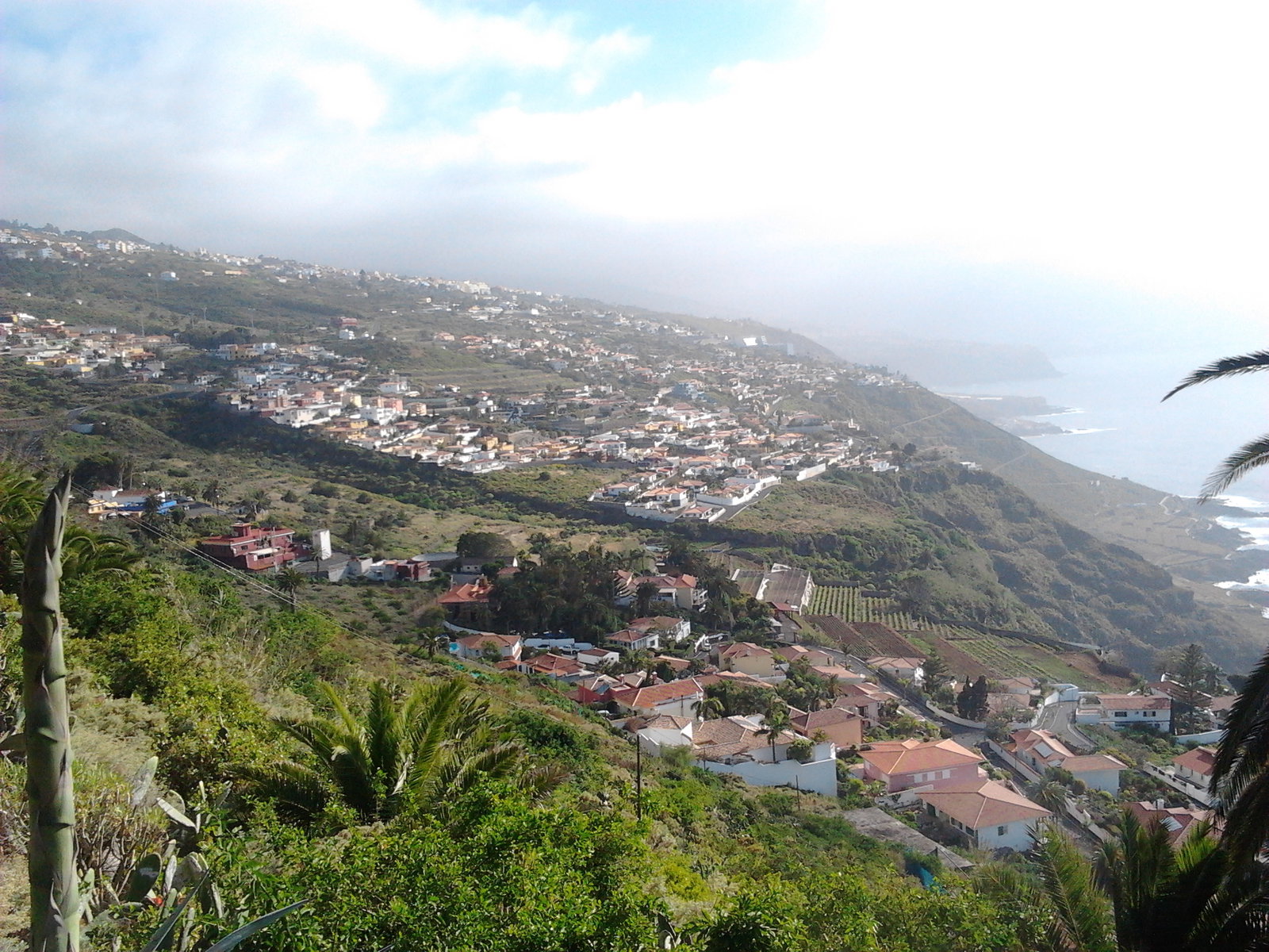 El Sauzal district