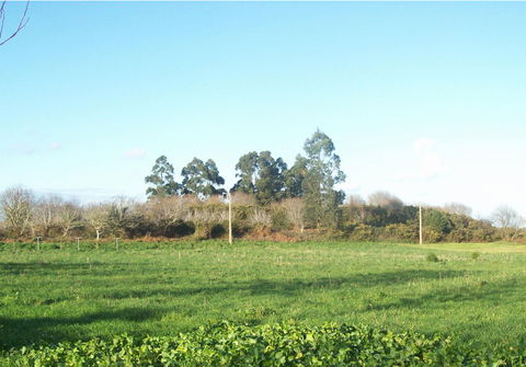 O Castrillón view 2