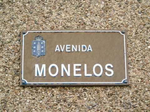 Monelos view 3