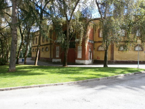 Buenavista view 1