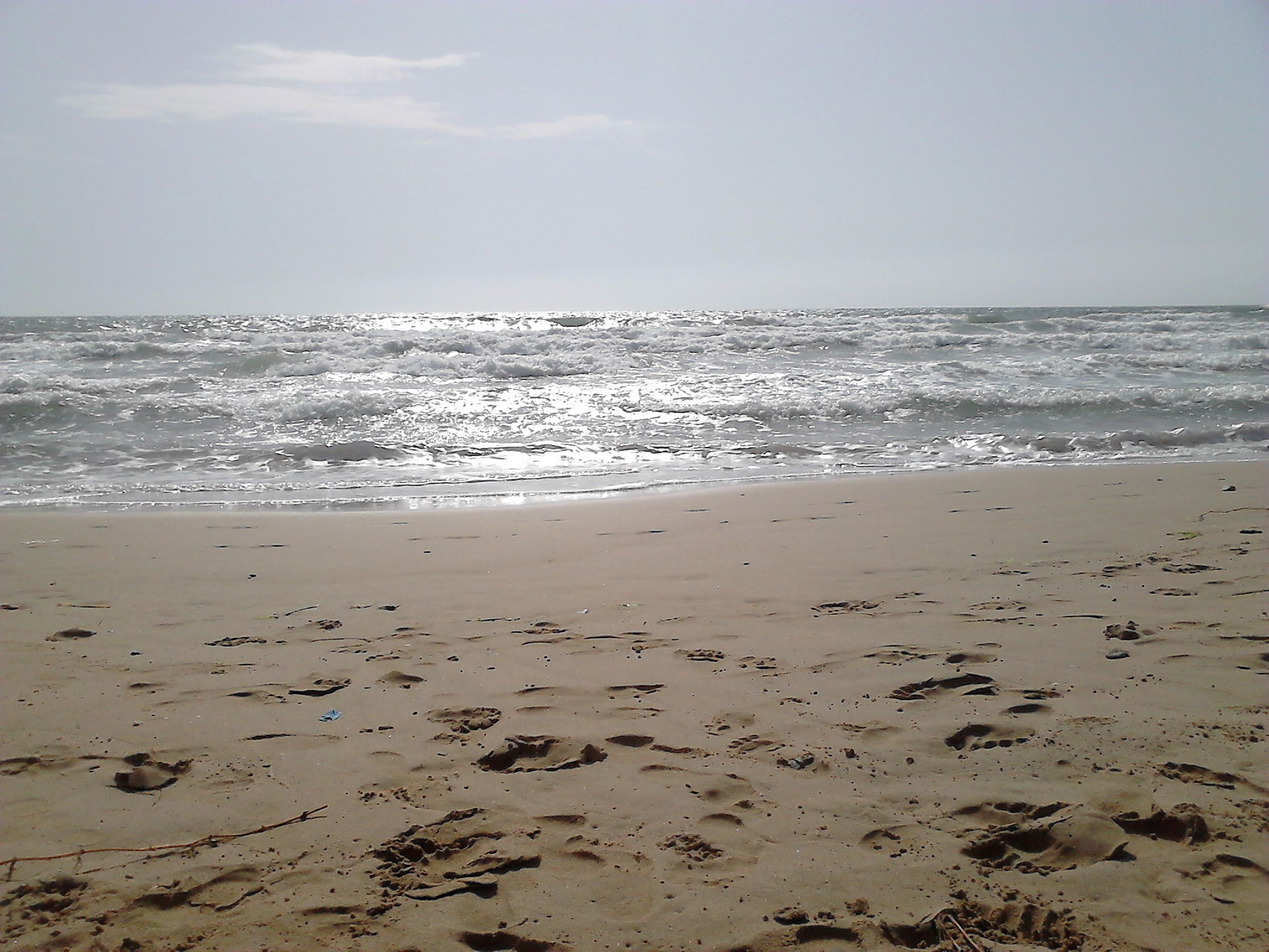 Los Arenales del Sol view 2