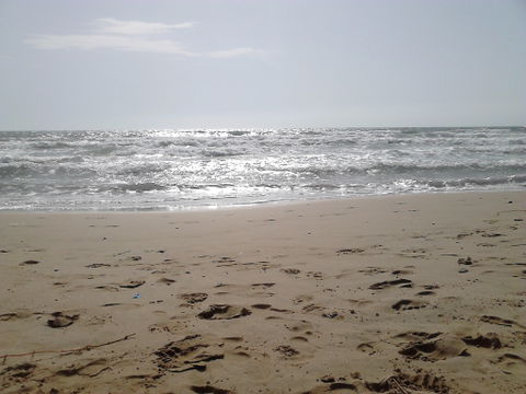 Los Arenales del Sol view 2