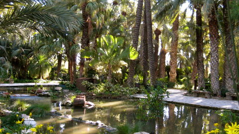 Palmeras view 1