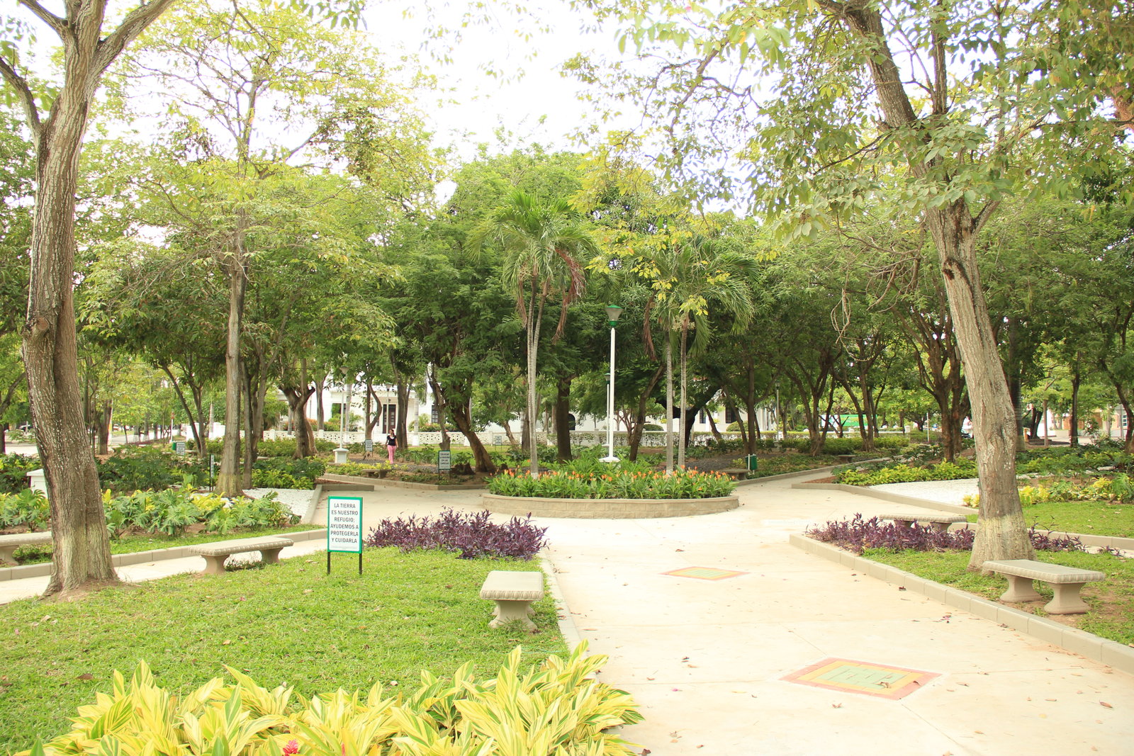 Los Prados district