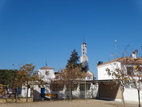 Nueva Jarilla view 3