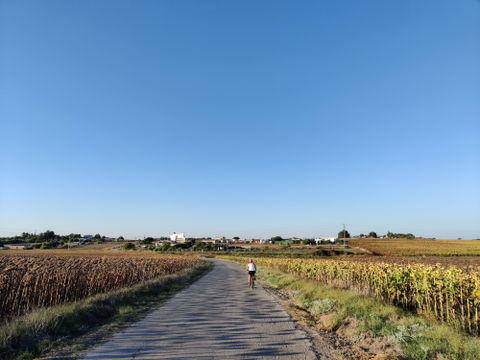 Mesas de Santa Rosa view 1