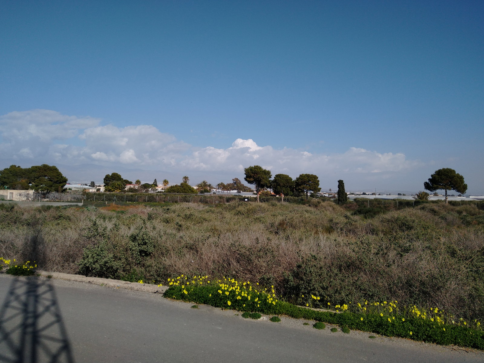 El Bobar district