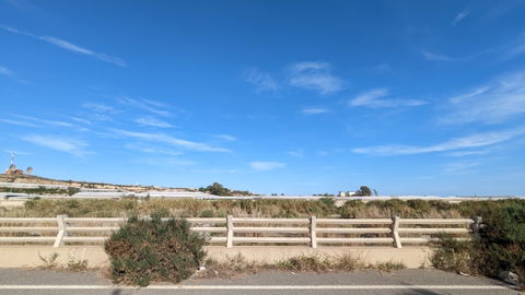 El Mamí view 2