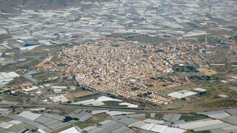 El Ejido view 2