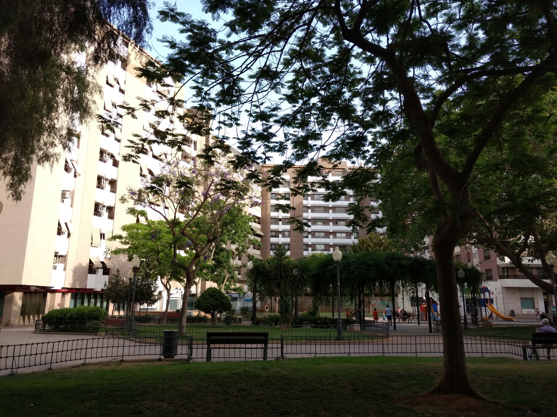 Oliveros view 2