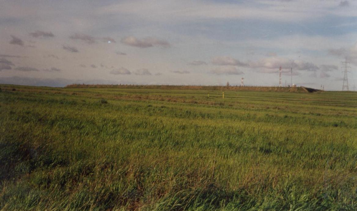 Buenavista view 1