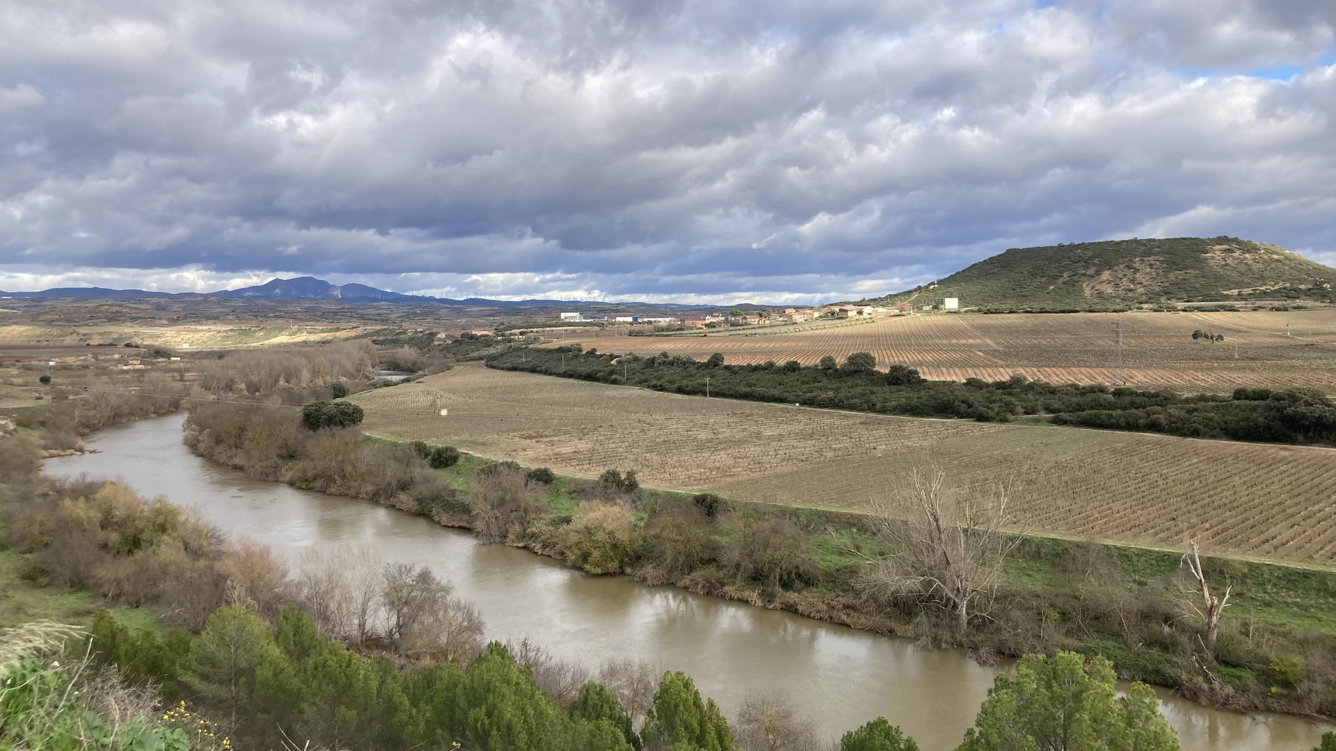 El Cortijo view 3