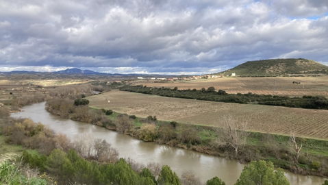 El Cortijo view 3