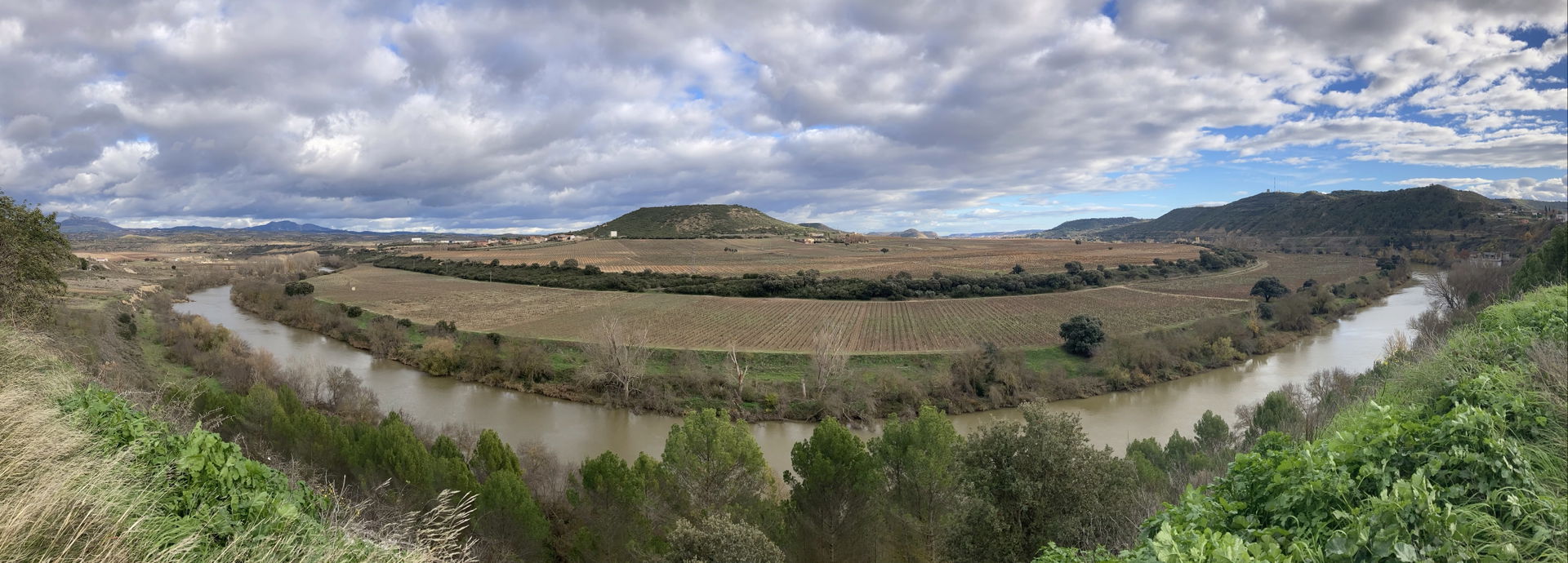 El Cortijo view 2