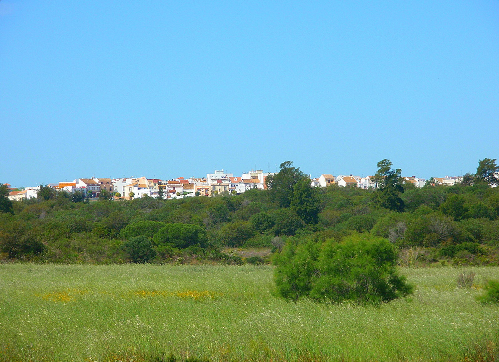Aljaraque district