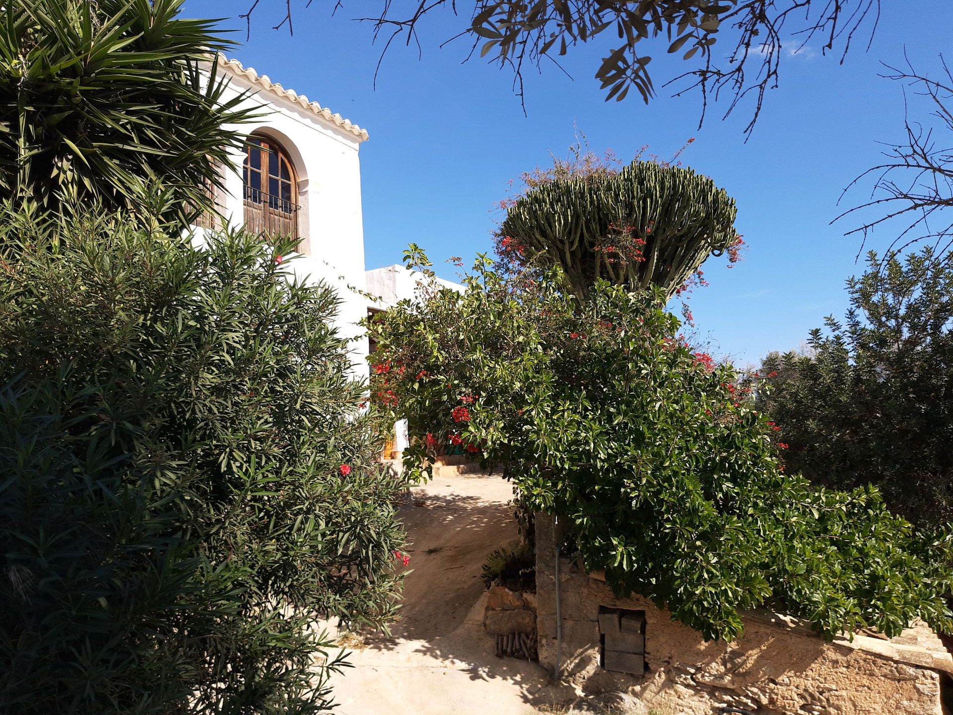 Balàfia view 3