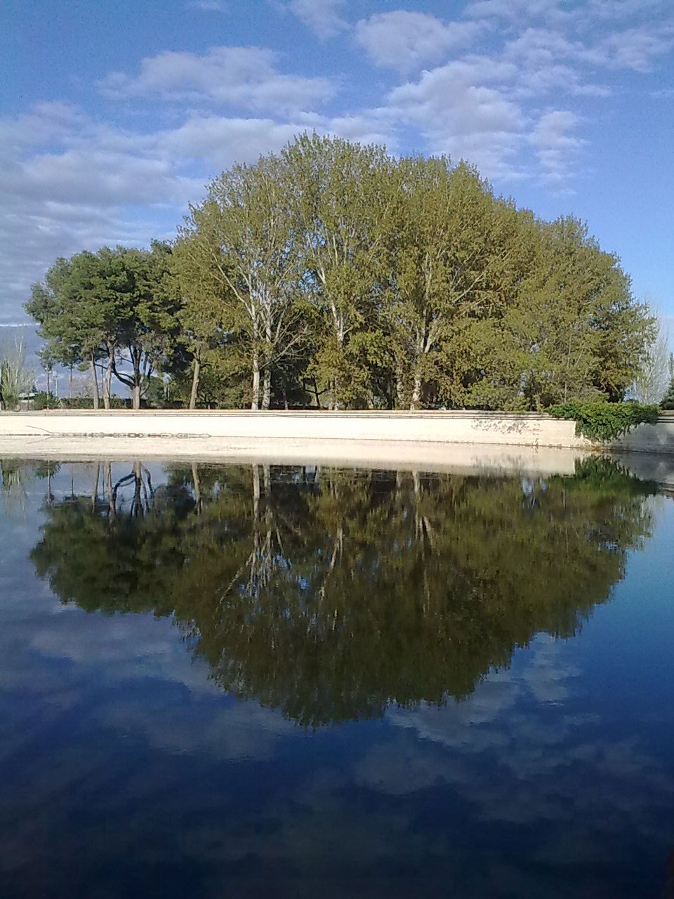 Les Basses d'Alpicat view 2