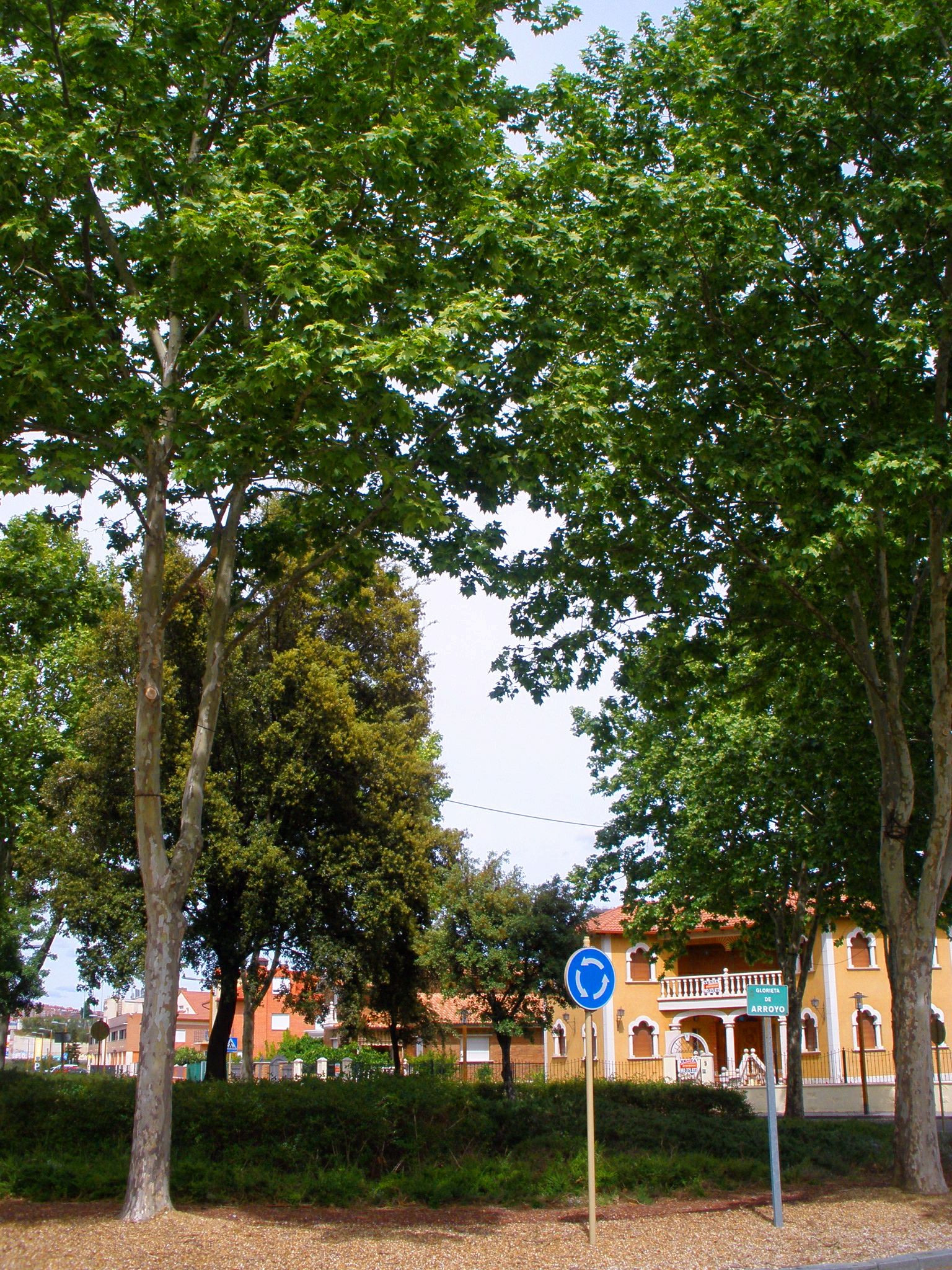 Barrio de la Vega view 3