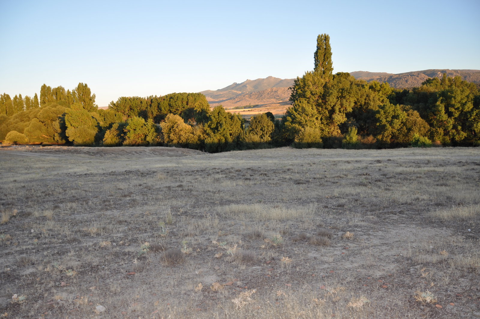 El Soto district