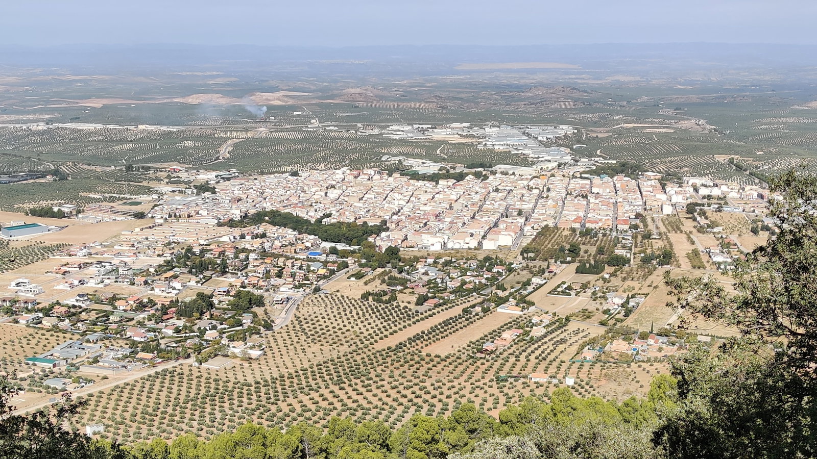 Mancha Real district