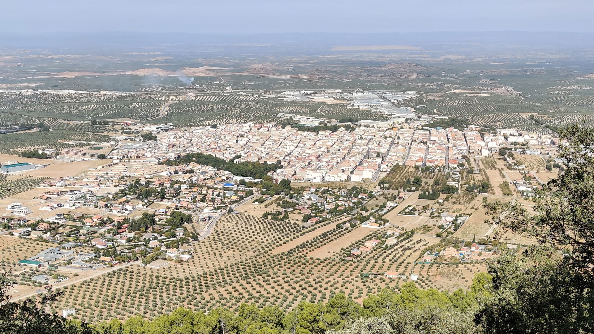 Mancha Real view 1