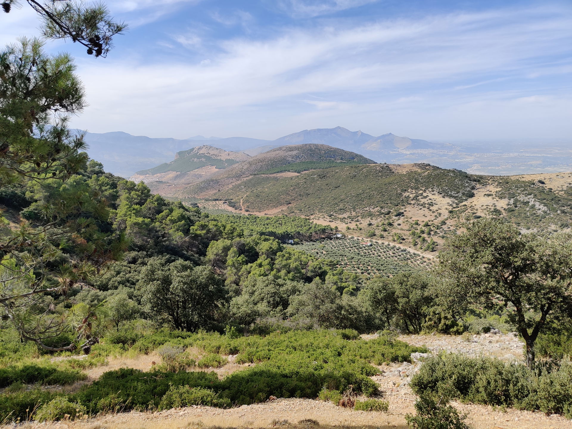 Mancha Real view 2