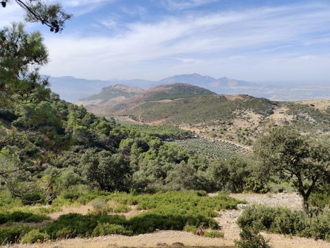 Mancha Real view 2