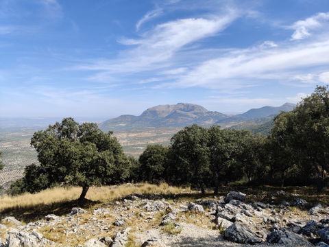 Mancha Real view 3